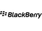 Blackberry accessories