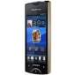 Sony Ericsson Xperia Ray accessories