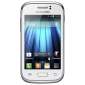 Samsung Galaxy Young S6310 accessories