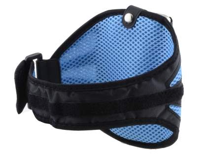 Universal Sports Armband for Phones - Black/Sky Blue