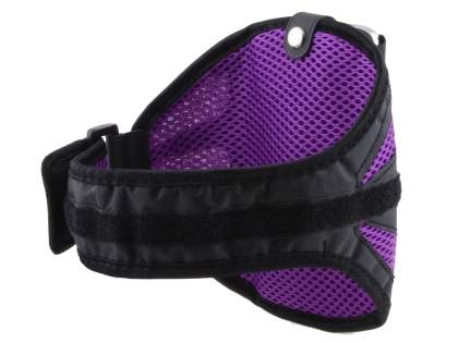 Universal Sports Armband for Phones - Black/Purple