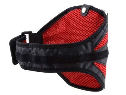 Universal Sports Armband for Phones - Black/Red