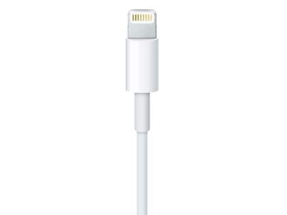Genuine Apple Lightning to USB-A Cable (2 metres)