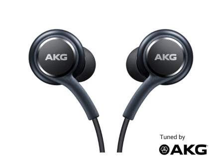 Samsung EO-IG955 In-Ear 3.5mm Earphones with Remote tuned by AKG - Titanium Gray